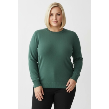 Langarm-Pullover 