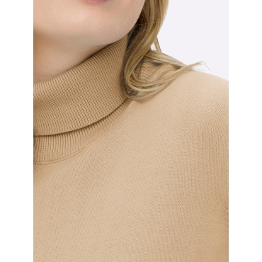Rollkragenpullover 