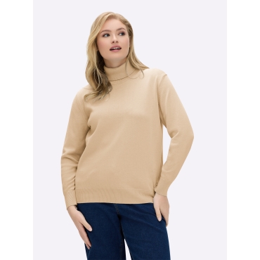 Rollkragenpullover 