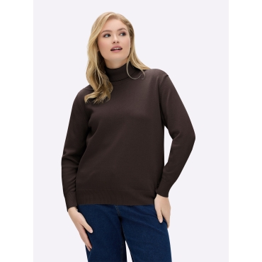 Rollkragenpullover 