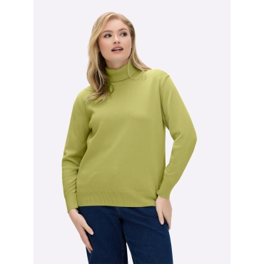 Rollkragenpullover 