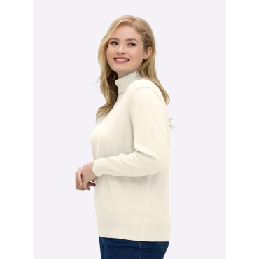 Rollkragenpullover 