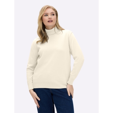 Rollkragenpullover 