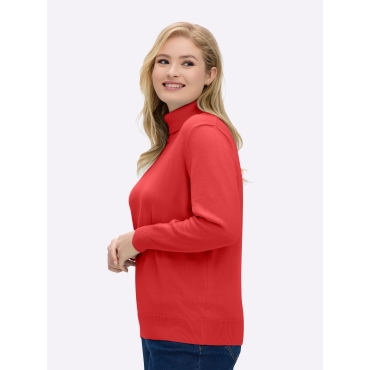 Rollkragenpullover 