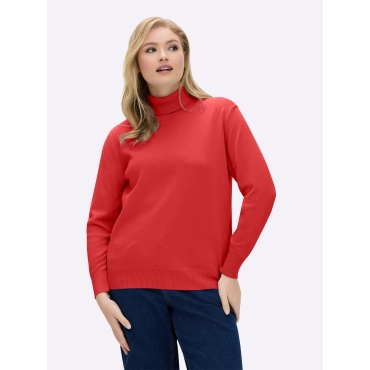 Rollkragenpullover 