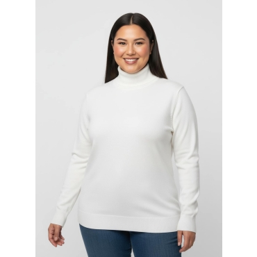 Rollkragenpullover 