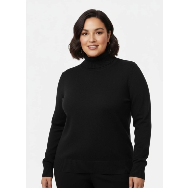 Rollkragenpullover 
