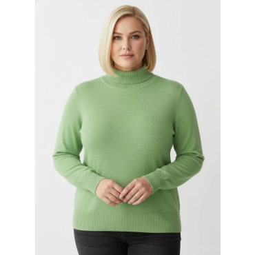 Rollkragenpullover 