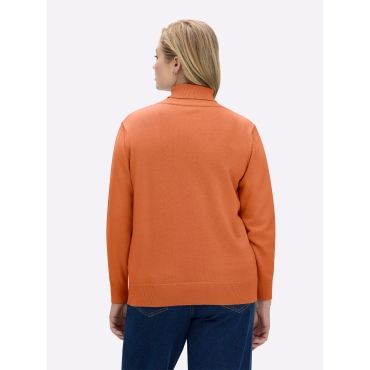 Rollkragenpullover 