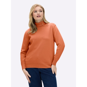 Rollkragenpullover 