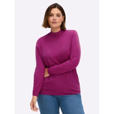 Stehkragenpullover 
