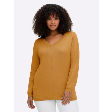 V-Ausschnitt-Pullover 