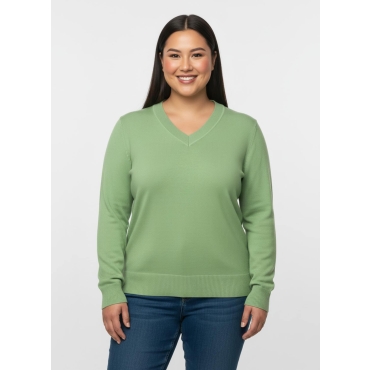 V-Ausschnitt-Pullover 