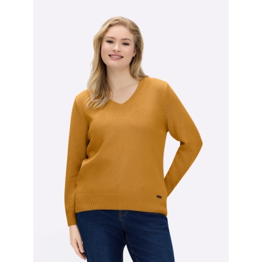 V-Ausschnitt-Pullover 