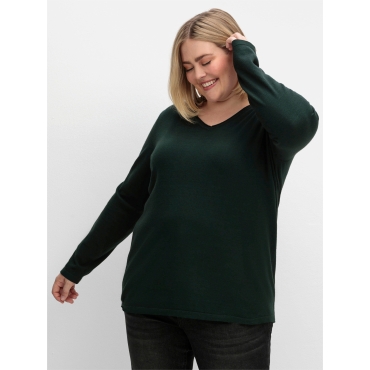 V-Ausschnitt-Pullover 