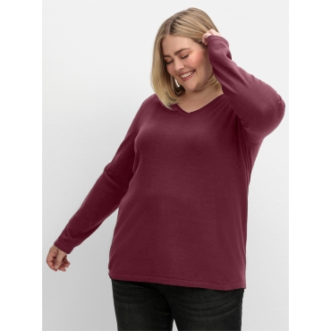 V-Ausschnitt-Pullover 