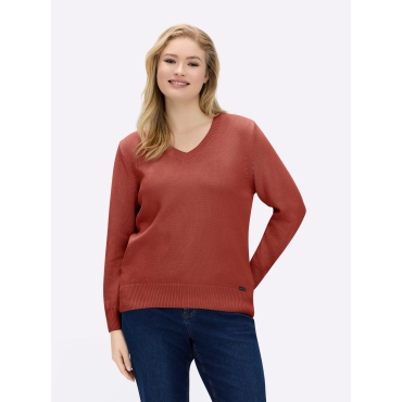 V-Ausschnitt-Pullover 