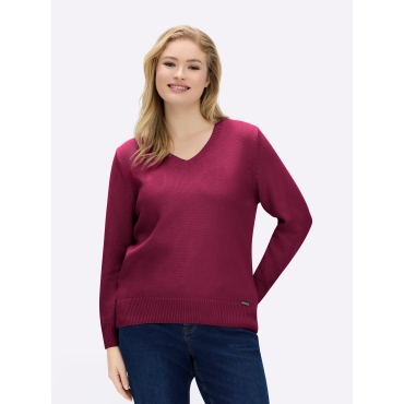 V-Ausschnitt-Pullover 