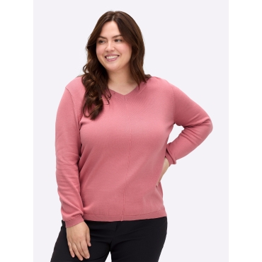 V-Ausschnitt-Pullover 