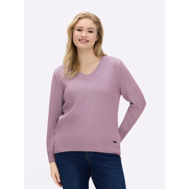 V-Ausschnitt-Pullover 