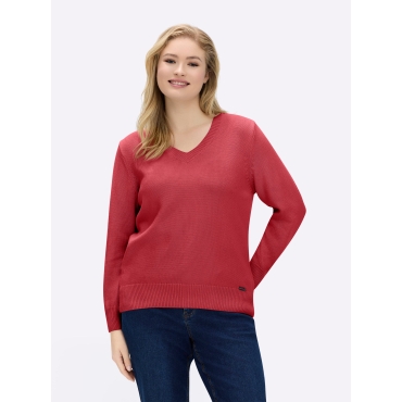 V-Ausschnitt-Pullover 