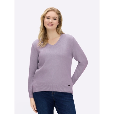 V-Ausschnitt-Pullover 